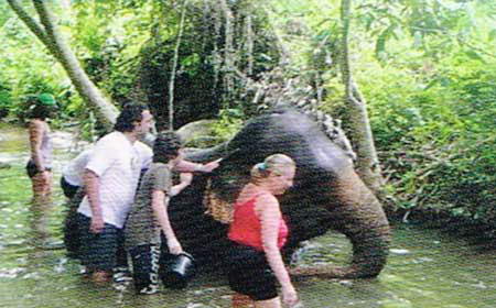 Huay Tho Safari Elephant Trekking Waterfall Jungle Tours Krabi Thailand