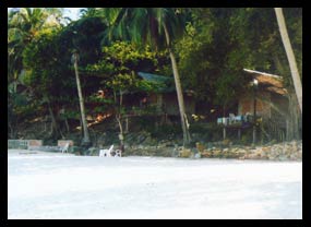 Rantee Resort - Tropical Beachside Bungalows Resort Phi Phi Island Krabi Thailand