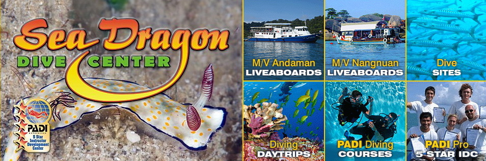 Sea Dragon Dive Center offers the absolute best all-around choices to divers having all levels of experience visiting the Similan Islands & Khao Lak areas of Thailand.