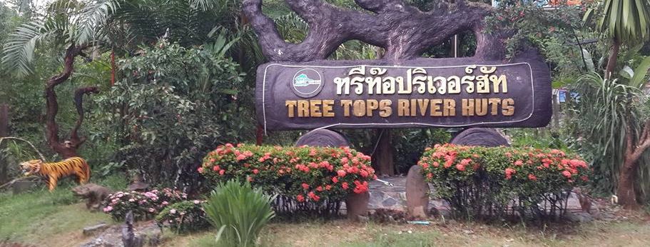 Tree Tops River Huts Tree House Bungalows Khao Sok National Park Thailand