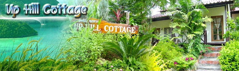 Up Hill Cottage - Bungalow Resort Phi Phi Island Thailand