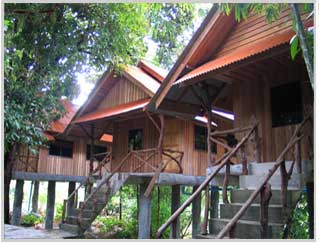 Bamboo House - Tree House Bungalows Adventure Tours Khao Sok Thailand