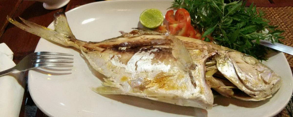 Discovery Cafe' Bar Restaurant - Fresh Seafood Thai Restaurant Khao Lak Thailand