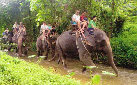 Huay Tho Safari Elephant Trekking Waterfall Jungle Tours Krabi Thailand
