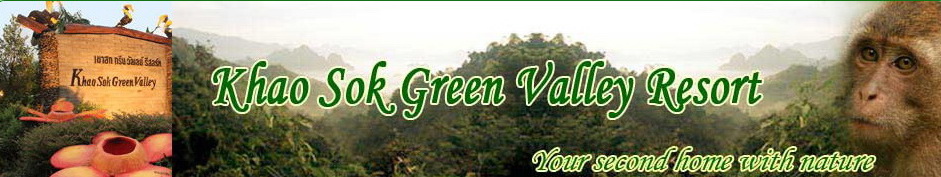 Khaosok Green Valley Resort - Jungle Mountain Bungalow Resort Khaosok Thailand