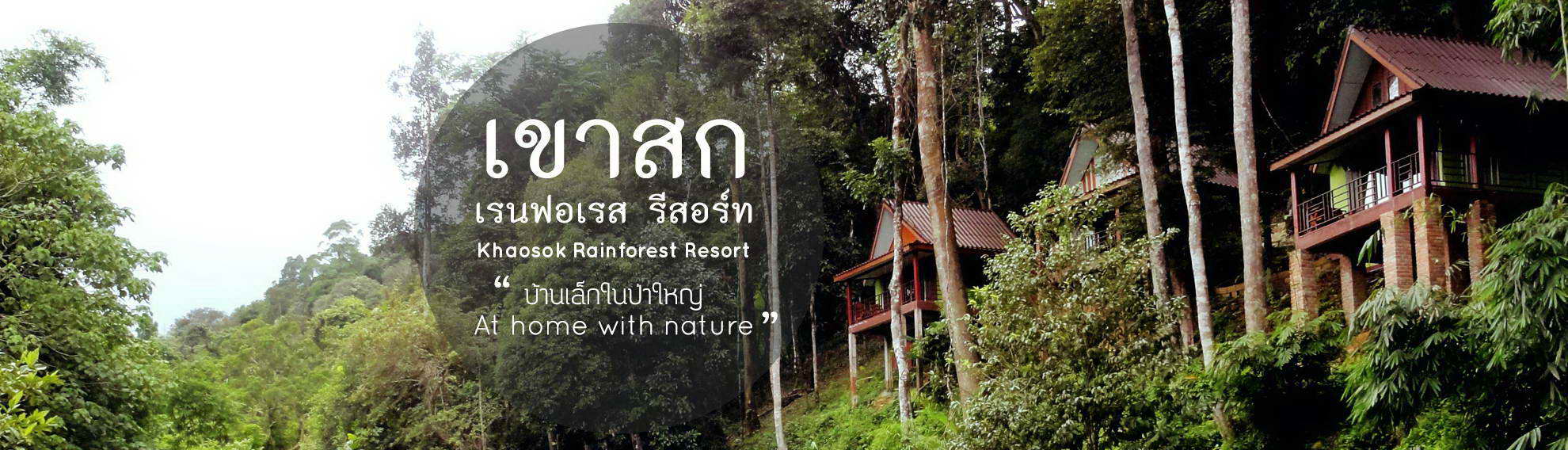 Khaosok Rainforest Resort a fantastic place to spend your holiday in Khaosok National Park