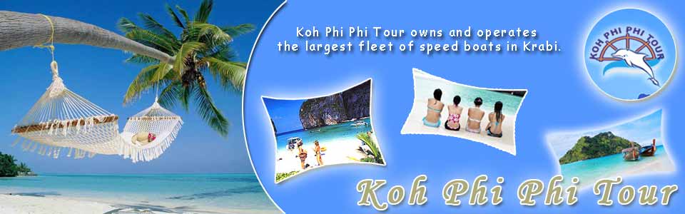 Koh Phi Phi Tour Speedboat Tours, Hotels Phi Phi Island, Krabi Thailand