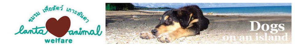 Lanta Animal Welfare - Humane Dogs Cats Sterilization Koh Lanta Island Thailand
