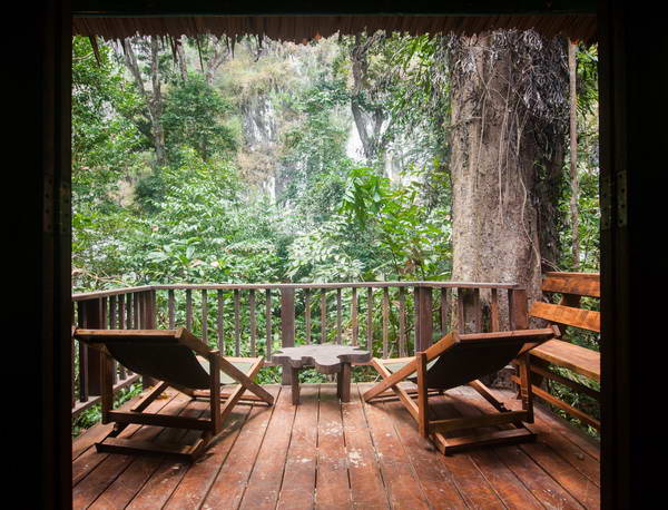Our Jungle House Tree House Bungalows Resort Khao Sok National Park Thailand