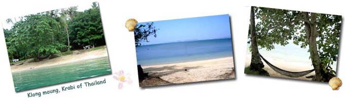 Pine Bungalow - Seaside Bungalows Resort Krabi Thailand