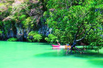 Sea Kayak Krabi Mangrove Forest Karst Sea Canoe Adventures Phang Nga Bay