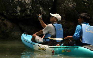Sea Kayak Krabi Mangrove Forest Karst Sea Canoe Adventures Phang Nga Bay
